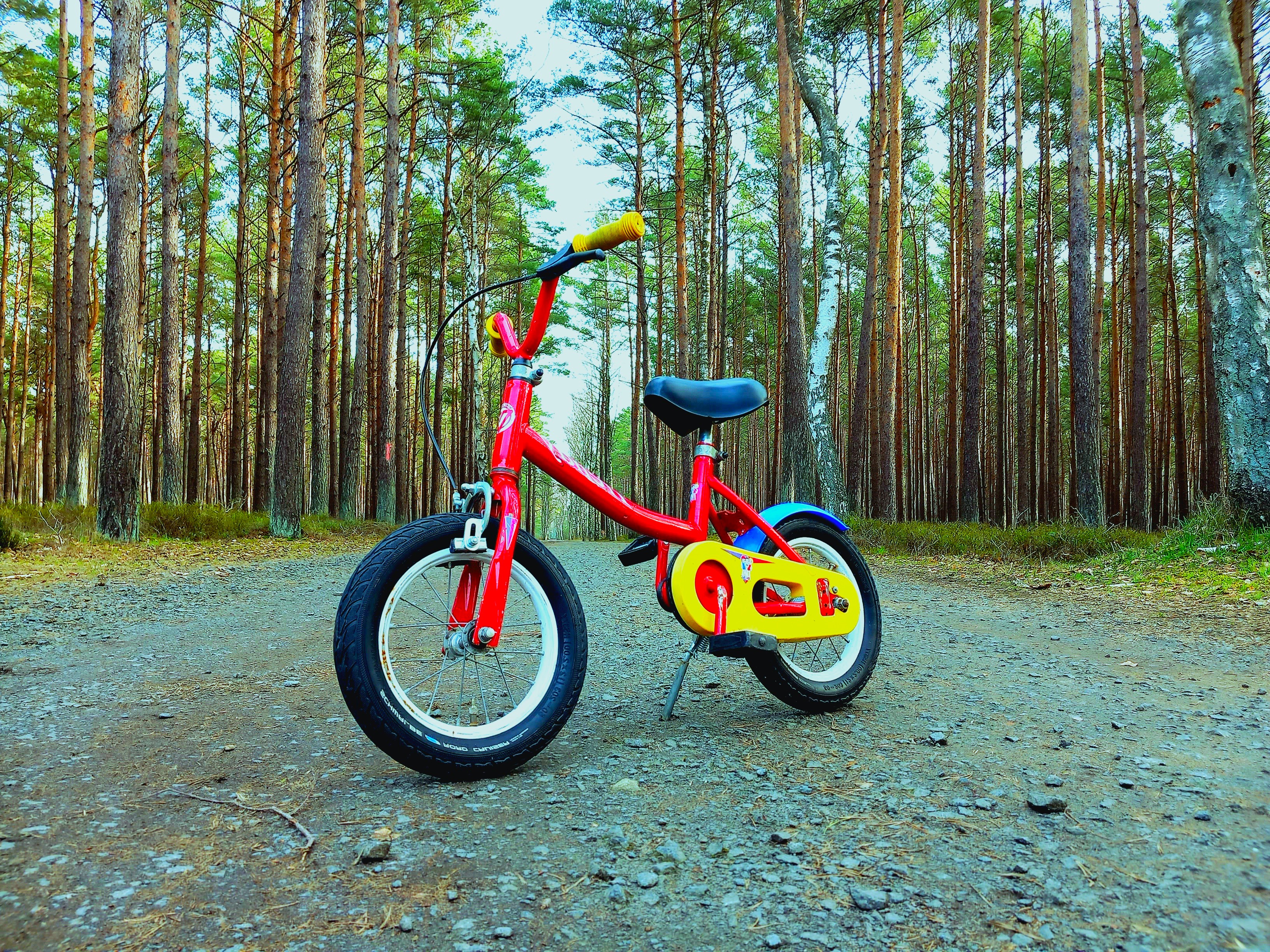 bike-image