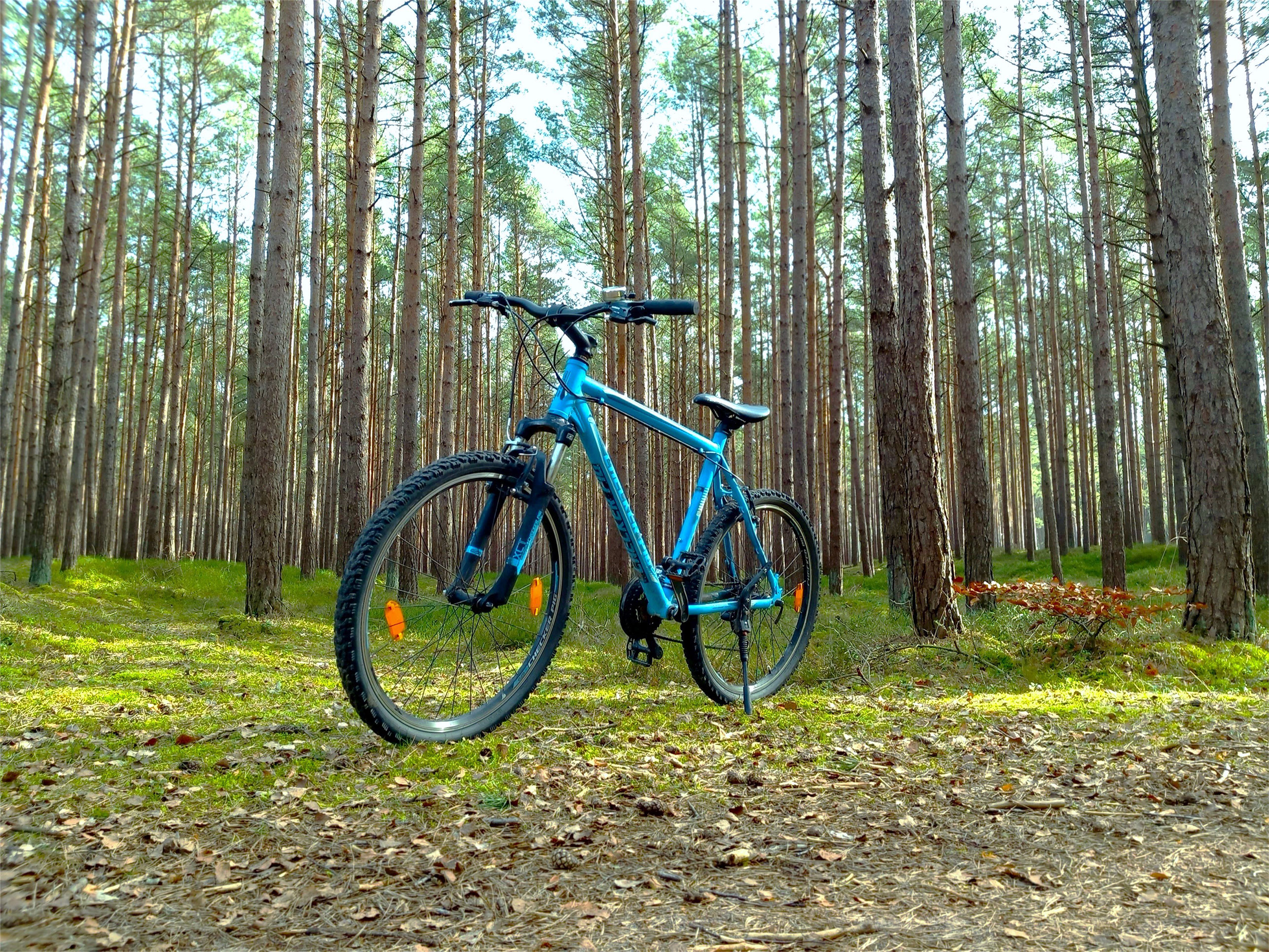 bike-image